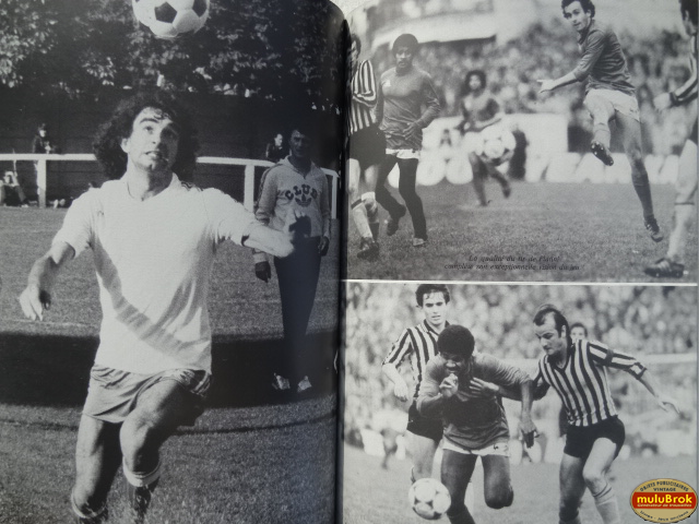 LES VERTS 80 muluBrok (4)