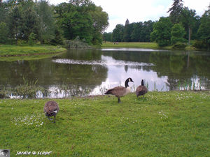 9392_Etang_Courson