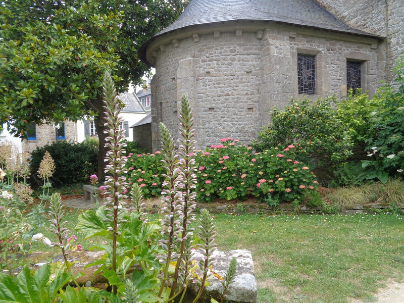DSC08178