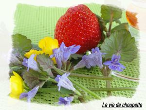 smoothie 005