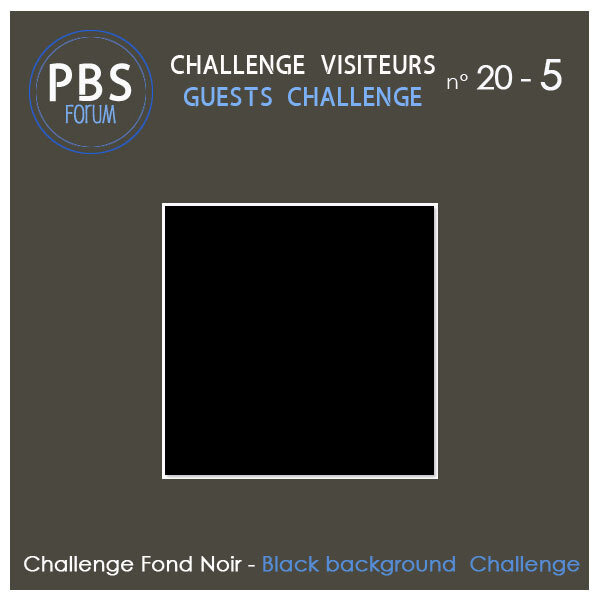 Challenge VISITEURS 20-5 - Fond Noir 126120682_o