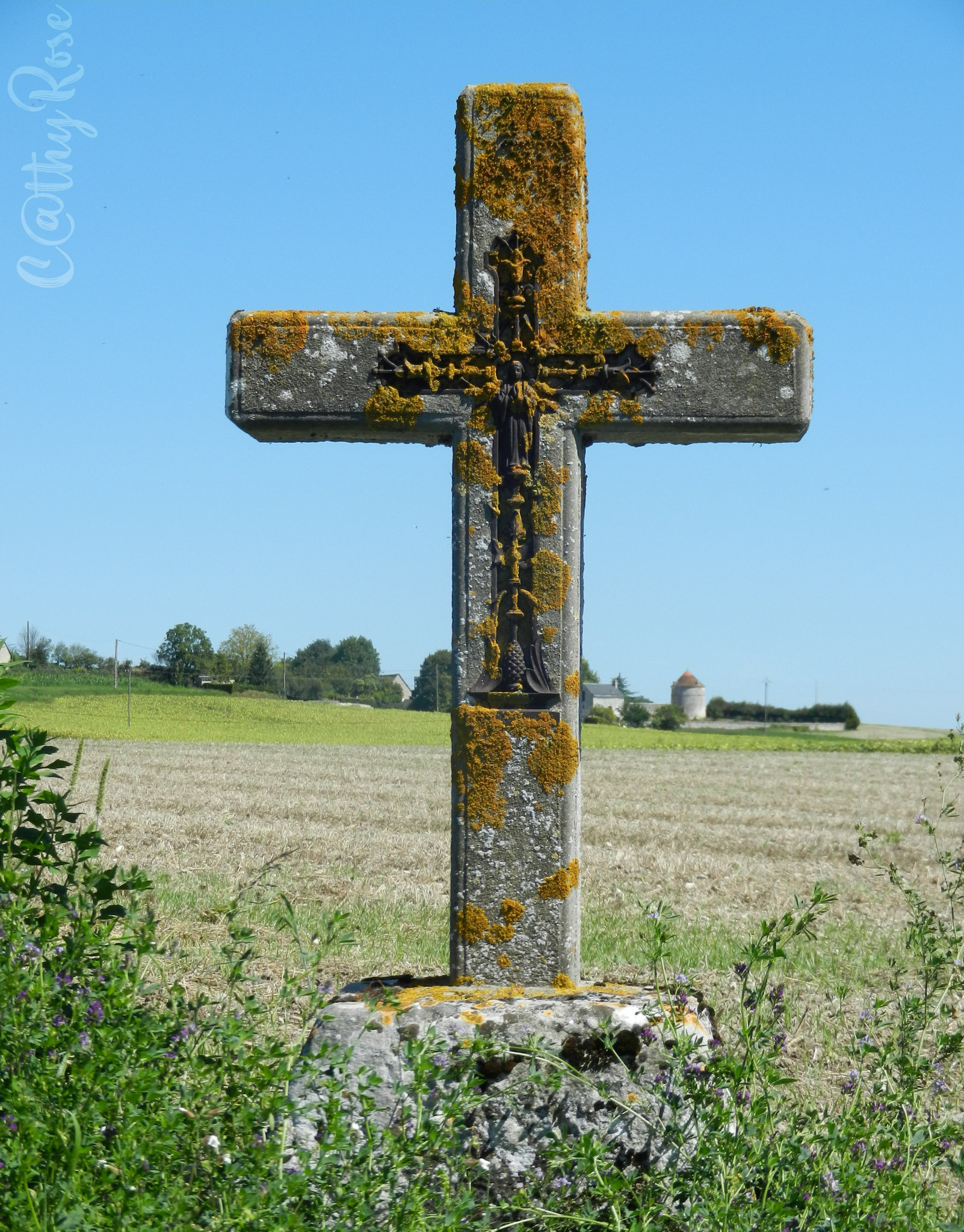 6-tout un symbole