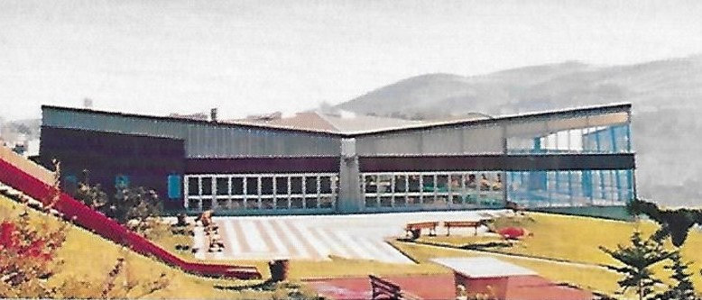 CPM Saint-Etienne Piscine R