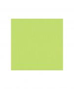 Pu69-papier-uni-scrapbooking-carterie-vaessen-pistachio