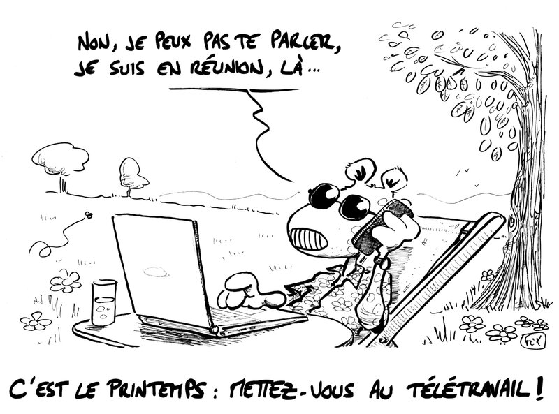 pdf80 télétravail printemps