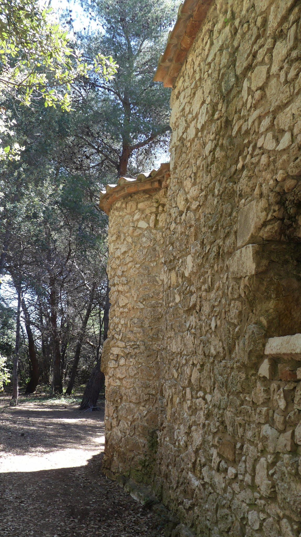 P1010242 (2)