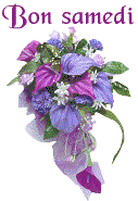 BON_SAMEDI_bouquet_de_fleurs_violettes