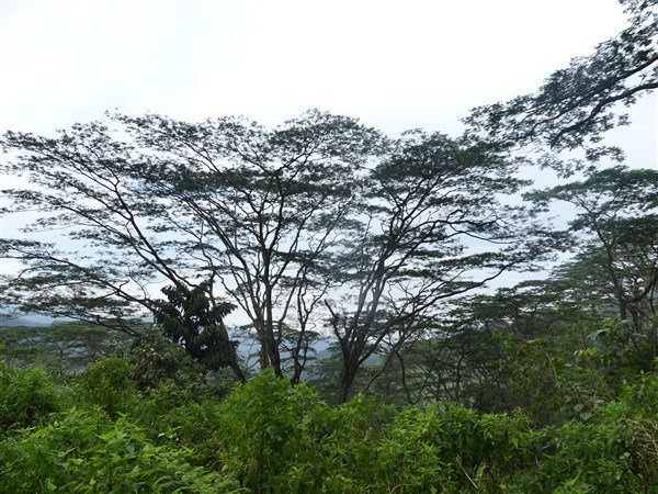 P1260726