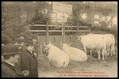 Ruau concours agricole