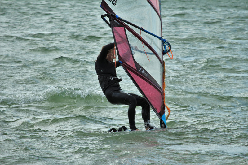 IMG_5695 - Copie
