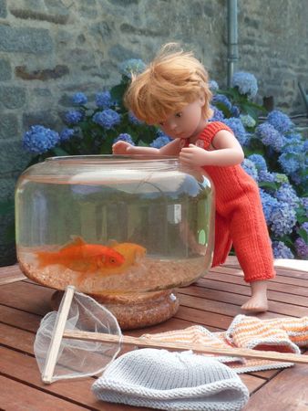 poisson rouge 011