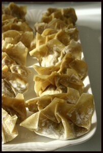 RP_raviolis_porc_avant_2
