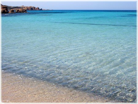 LAGON