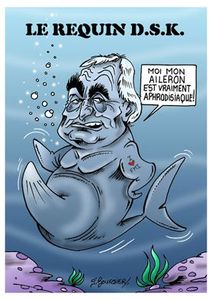 Requin DSK