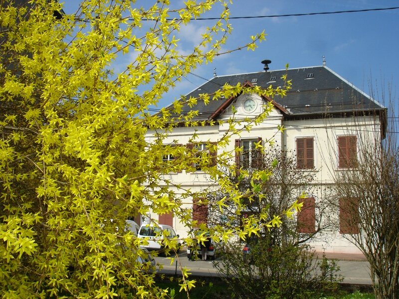 DSC03271