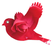 oiseau-vieux-papier10[fla)