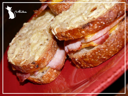 recettes plats recettes entrees Croustil monsieur