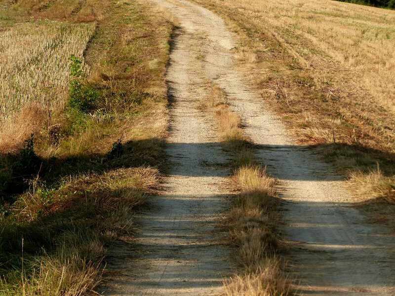 P1550453