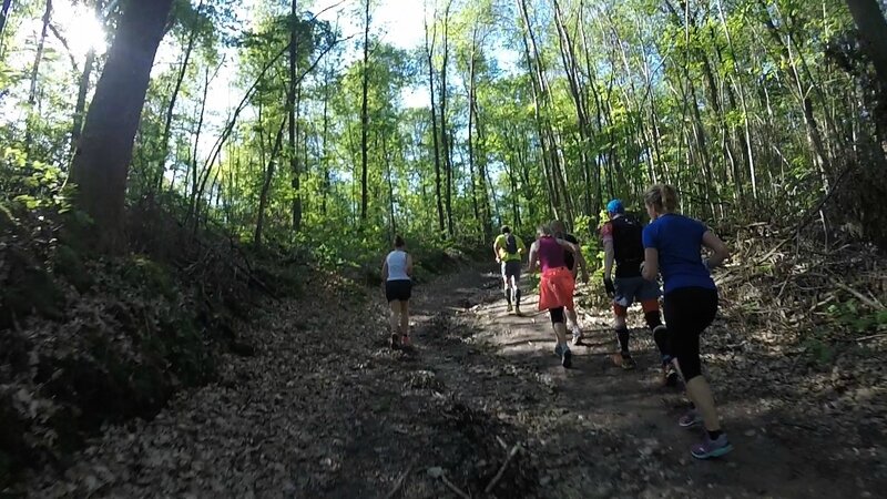 Trail de l'Orangerie de Bonnelles 2017 _ 5