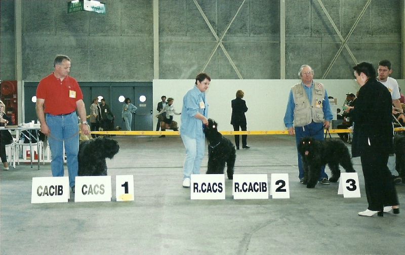 en 1998 expo internationale de LYON POLAIRE..2EME..