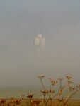 brouillard_6