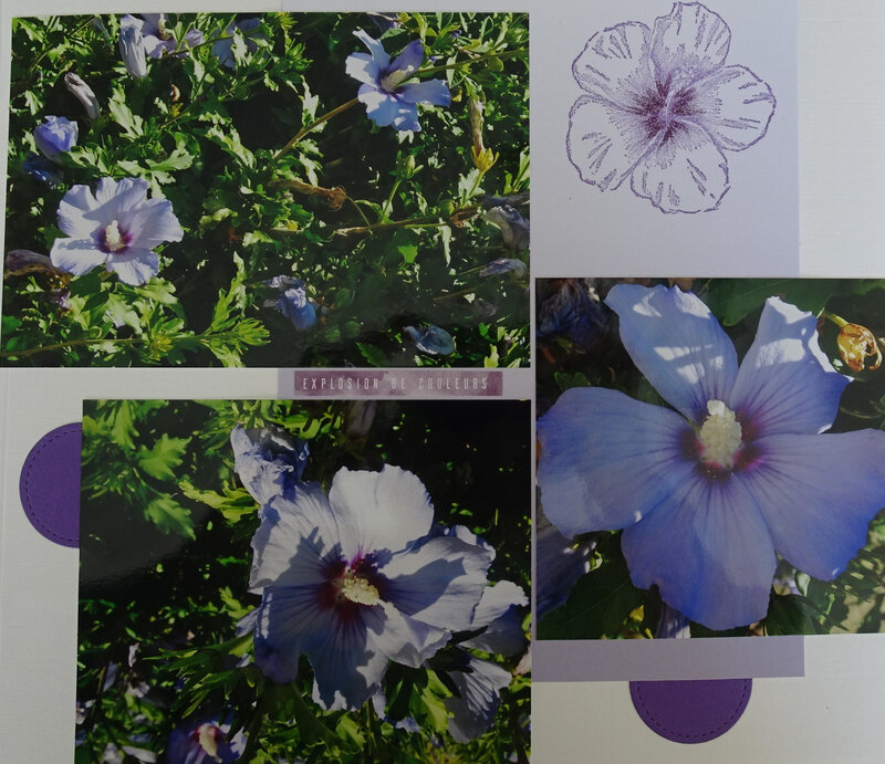 15b Page de Scrap Hibiscus d'Aveyron