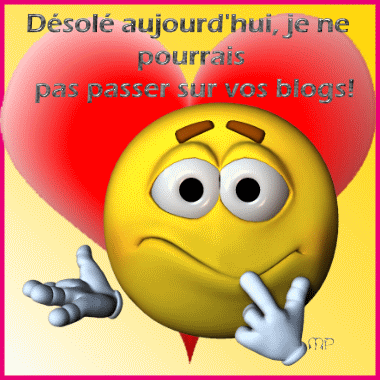 desol__pas_de_blog_aujourdh_hui