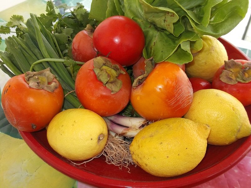 assiette du marché oct