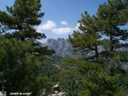 Les Aiguilles de Bavella (Corse)