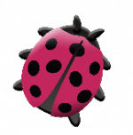 coccinelle