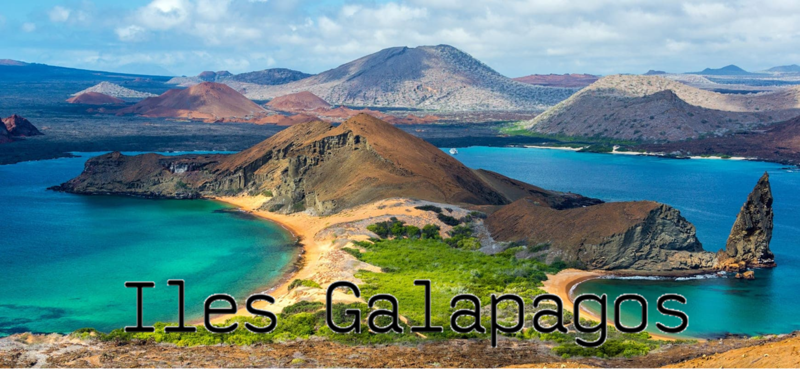 08 - Galapagos