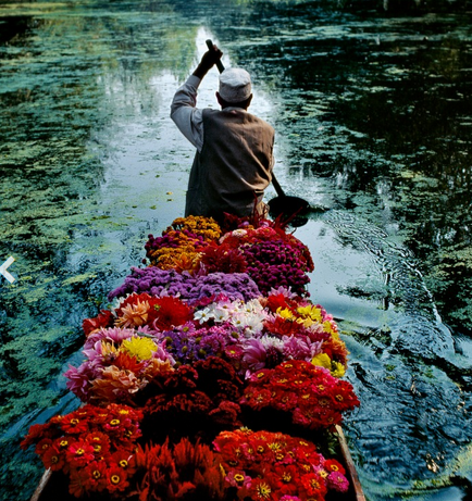 Photo bateau fleurs
