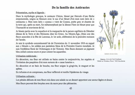 Asteraceae