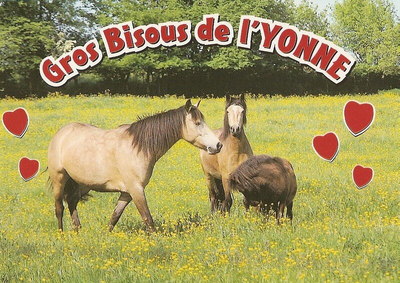 Toucy par Céline et Bonnie