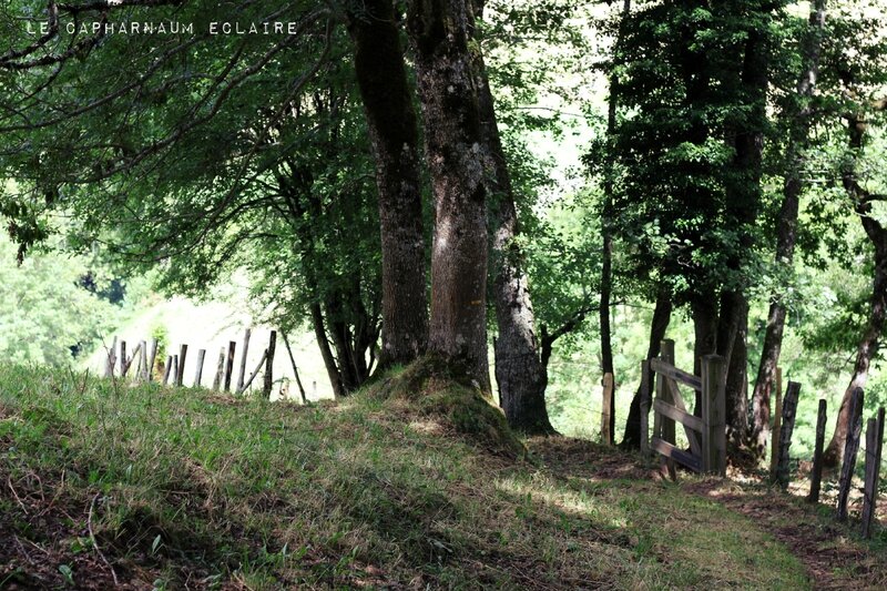 St Cirgues de Jordanne 1