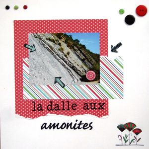 lilou752__la_dalle_aux_amonites