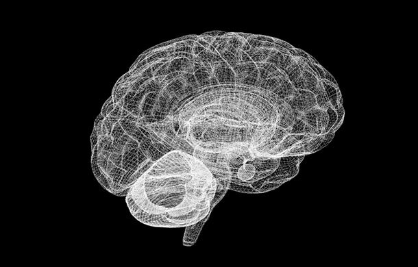 humanoides_fr_human_brain_project_neurosciences_3