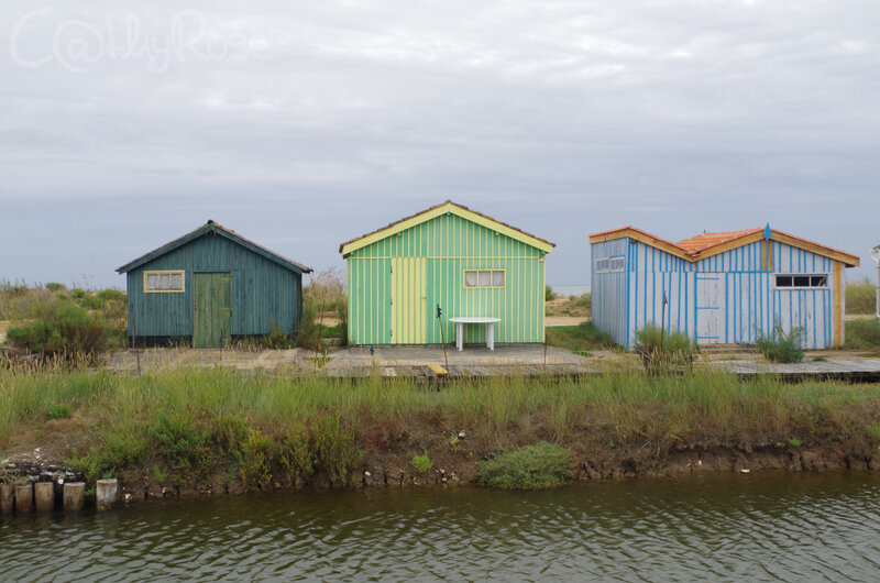 && cabanes Fort Royer (3)