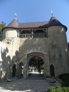 2013-09-Vic sur Seille 023