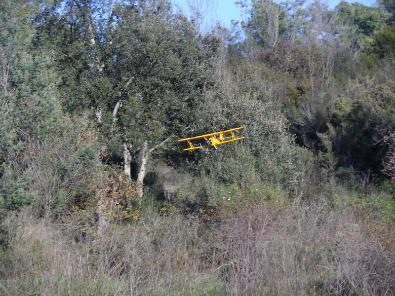 IMGP0726
