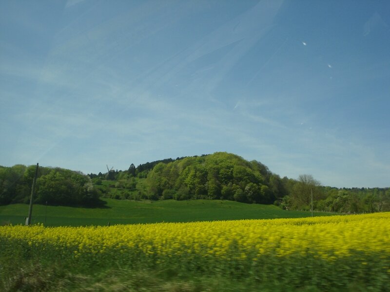 DSC06561