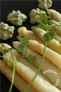 Asperges_blanches___pesto_de_graines_de_courge_cerfeuil_coriandre_5