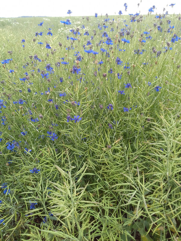 20180610_162306