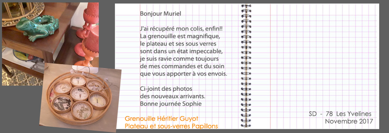 2017-11-GRENOUILLE-PAPILLONS-muluBrok