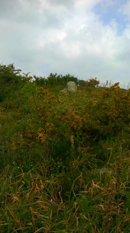 Le dolmen effondré de la pointe de l'île