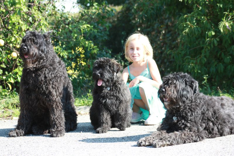 upsy 8ans,galyane 4 mois,applepie 6 ans 3 