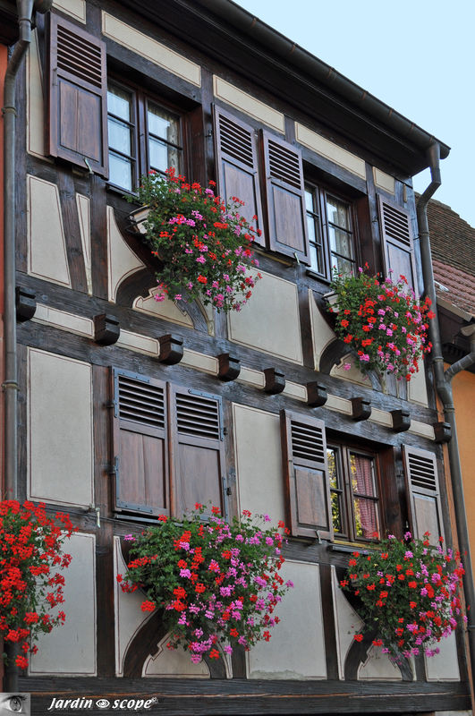 Façade fleurie de Pfaffenheim en Alsace