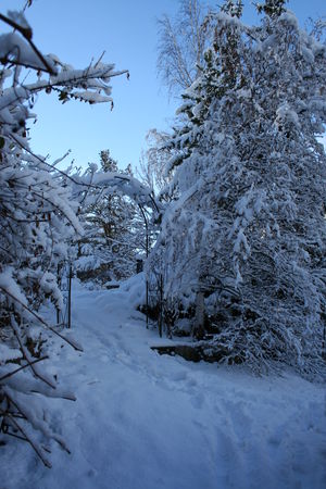 hiver_2012