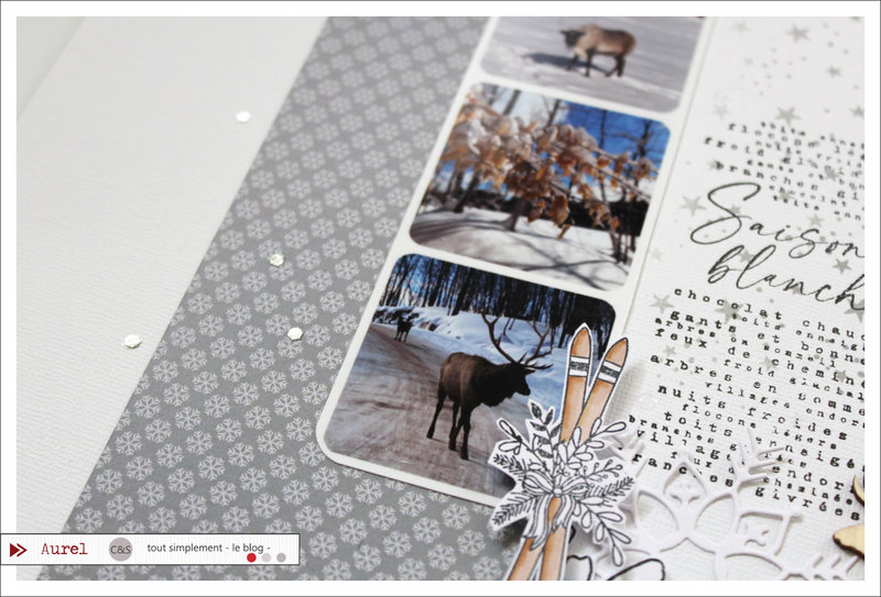 01 - 110121 - Page Saison blanche - Consignes Maryscrap #5