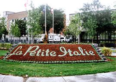 sans-titre